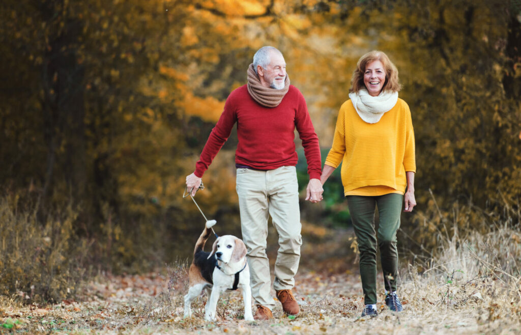 couple walking with their dog